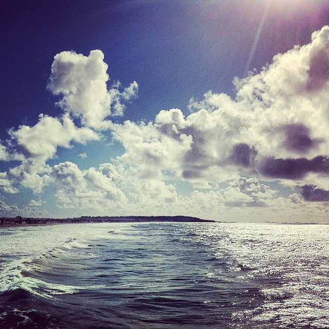 alexiscanhazcamera_10848141_664813603629726_329043060_n.jpg