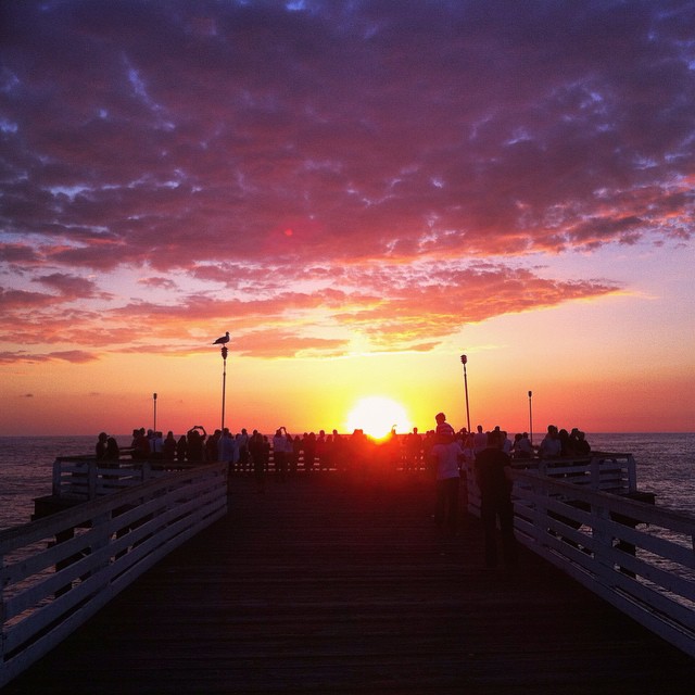 alexiscanhazcamera_12106037_1616799378583224_1870511692_n.jpg